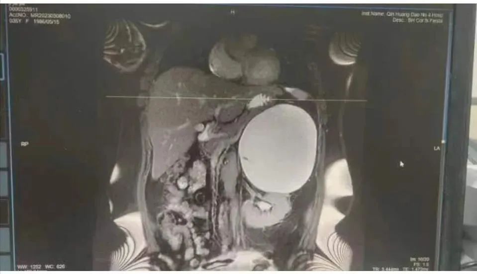 微信圖片_20230327101351.jpg 圖片