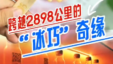 2898公里！北戴河冰巧樂(lè)園上演“南種北移”
