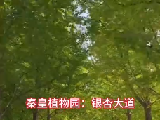 秦皇島秋季免費(fèi)游玩打卡好去處